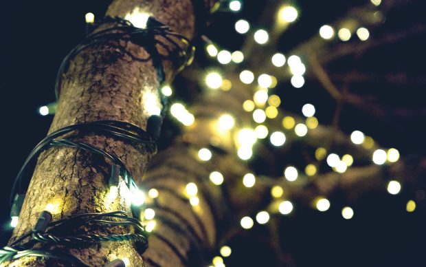 Aesthetic Christmas Lights Image.