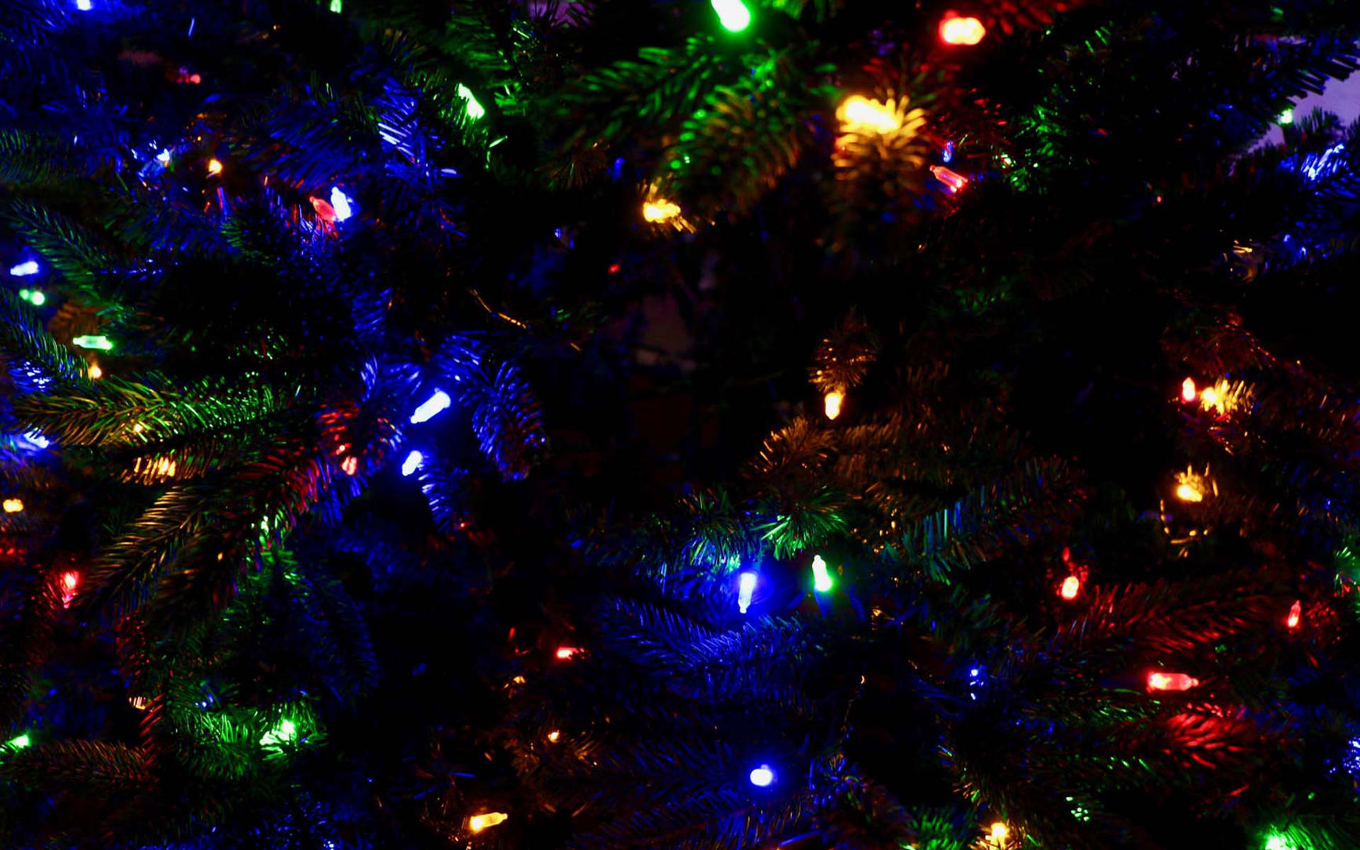 Christmas light rust фото 48
