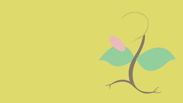 Aesthetic Minimalist Plant HD Wallpaper.