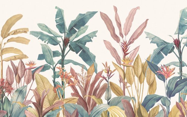 Aesthetic Minimalist Plant Wallpaper 1920x1200.