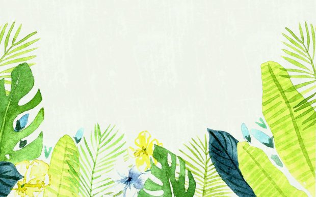 Aesthetic Minimalist Plant Wallpaper HD.