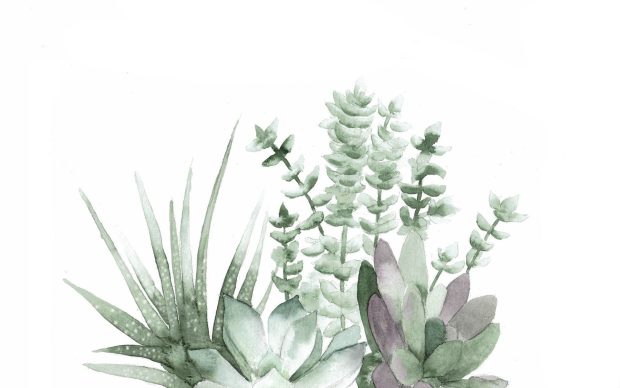 Aesthetic Minimalist Plant Wallpaper High Resolution.
