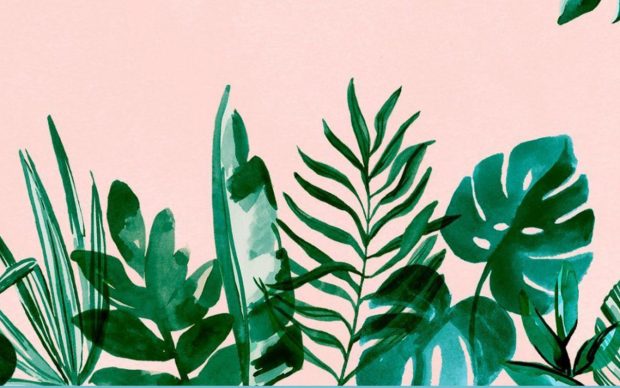 Aesthetic Minimalist Plant Wallpaper for Desktop.