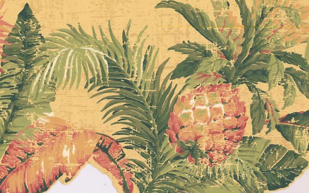 Aesthetic Pineapple Wallpaper HD.