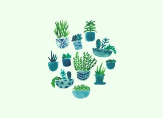 Aesthetic Plant HD Wallpaper Free download.