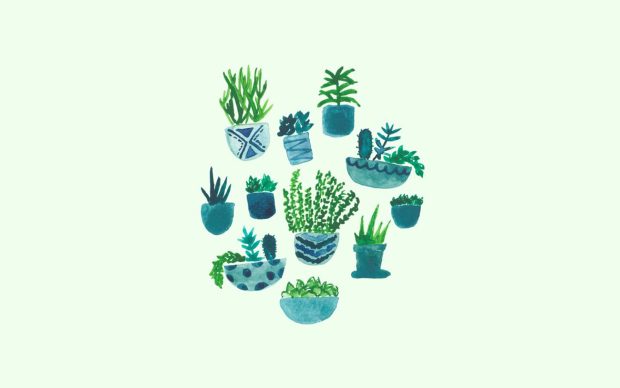 Aesthetic Plant HD Wallpaper Free download.