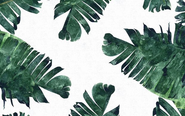 Aesthetic Plant Wallpaper.