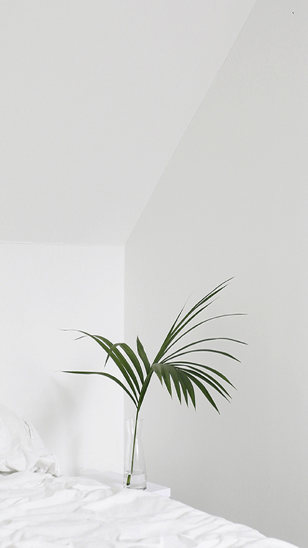 Aesthetic White iPhone Wallpaper 