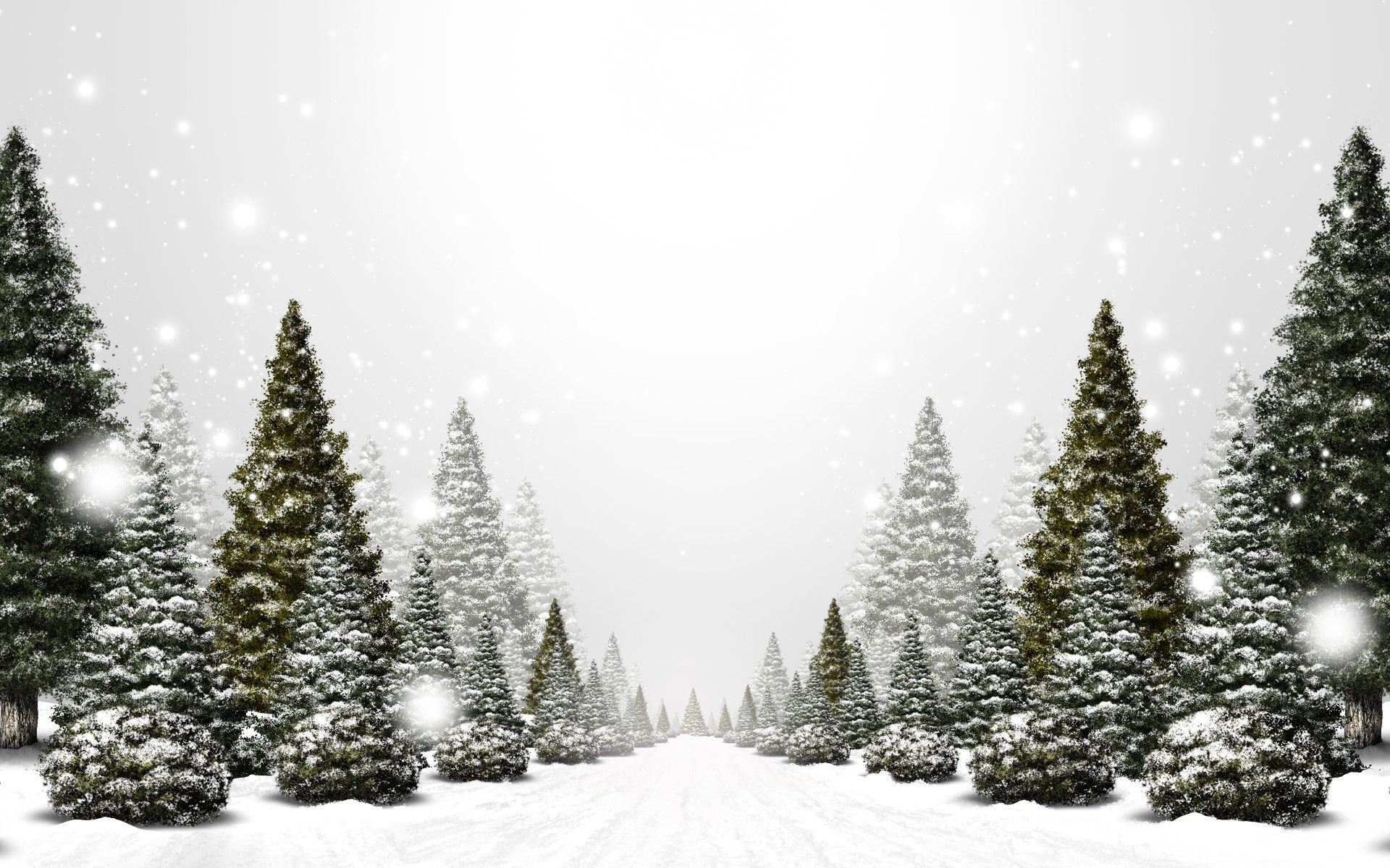 Aesthetic Winter HD Backgrounds Computer 