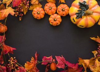 Autumn Halloween Wallpaper HD Free download.