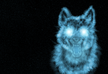 Awesome Cool Wolf Background.