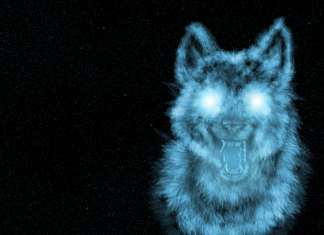 Awesome Cool Wolf Background.