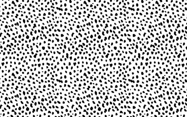 Awesome Cute Black and White Background.
