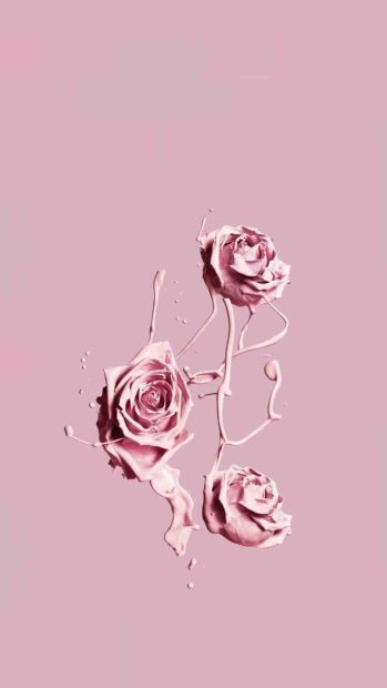 Awesome Rose Gold Aesthetic iPhone Wallpaper HD.