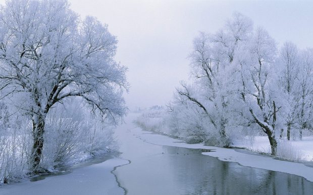 Backgrounds Aesthetic Winter.