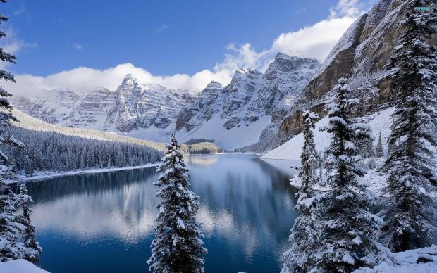 Banff National Park Wallpaper in the Winter 7.