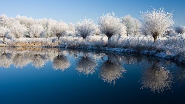 Beautiful Aesthetic Winter Backgrounds.