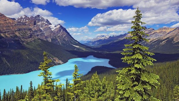 Beautiful Banff National Park Wallpapers 5.