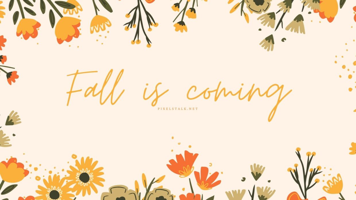 Pink Fall HD Wallpapers - PixelsTalk