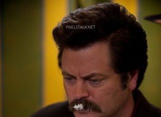 Best Ron Swanson Quotes 1.