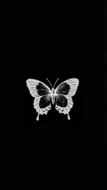 Black Aesthetic Butterfly Wallpaper HD.
