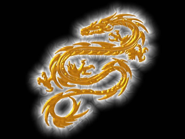 Black Wallpapers of Gold  Dragons.