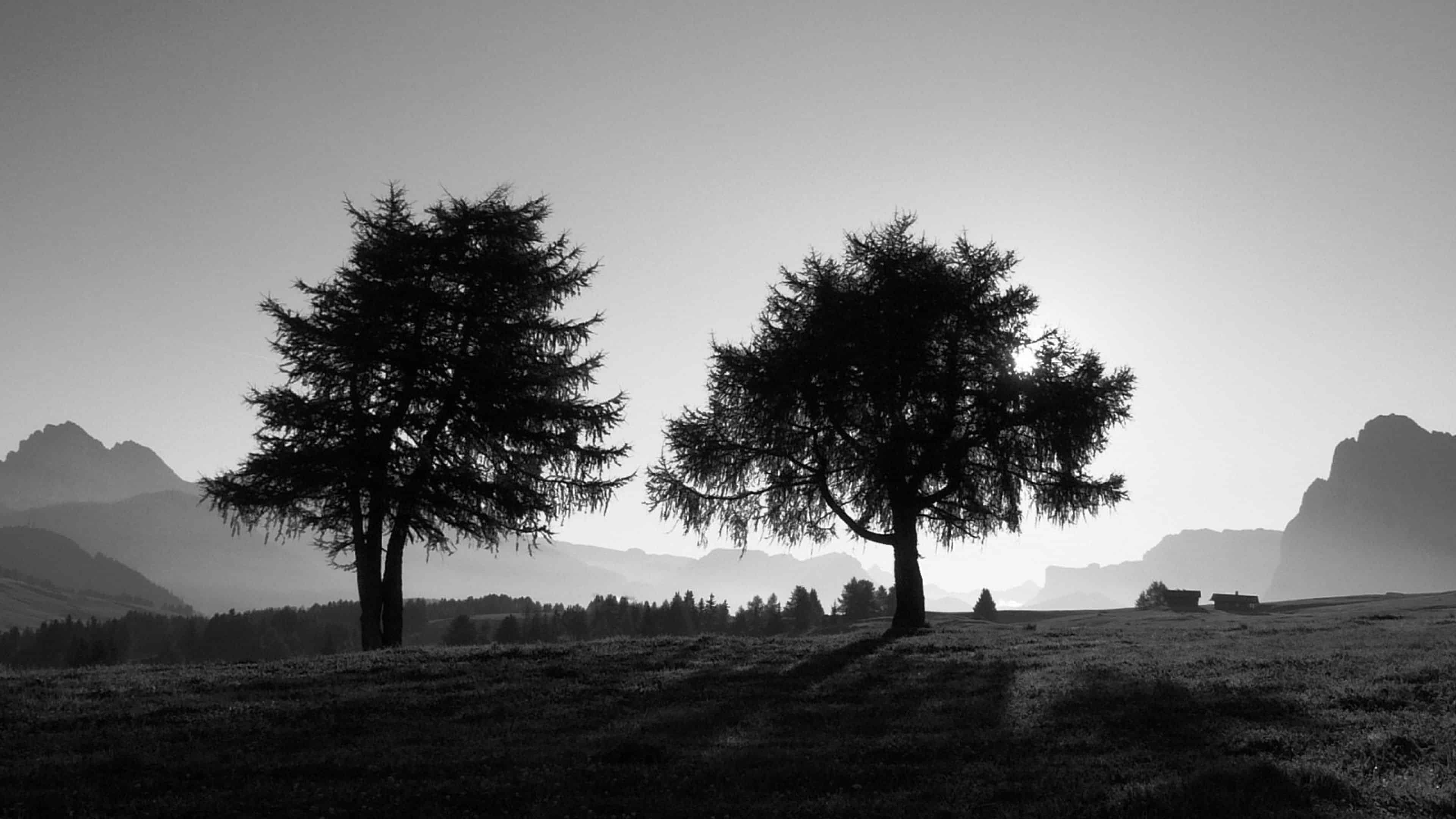 Black And White 4K Wallpapers High Quality PixelsTalk