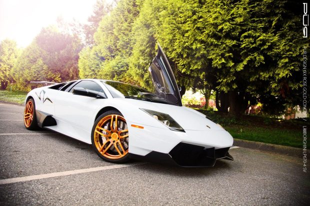 Black Gold Lamborghini.