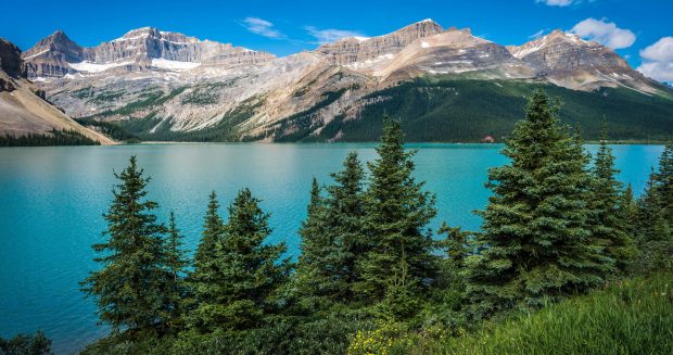 Bow Lake Banff National park wallpapers 4k.