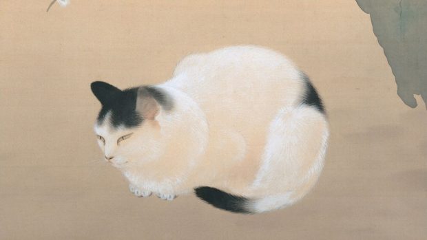 Cat Cute Japanese Backgrounds.