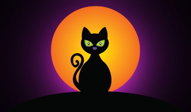 Cat Black Halloween Moon Wallpaper.