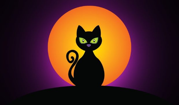 Cat  Black  Halloween  Moon Wallpaper.