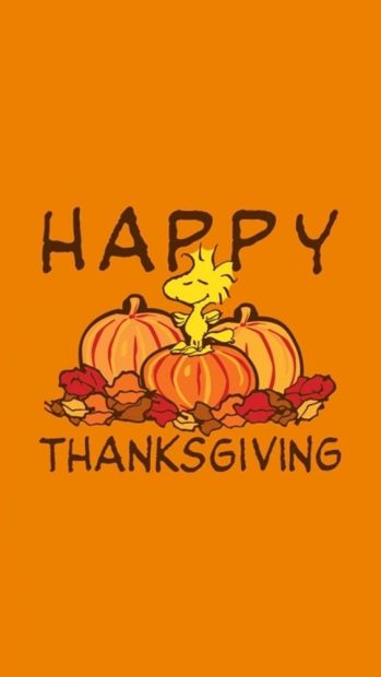 Charlie Brown Thanksgiving wallpaper for iphone.