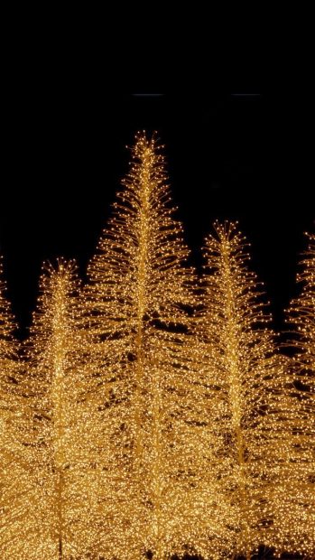 Christmas Light on Tree Wallpaper iPhone (1).