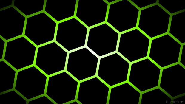 Cool Green and Black Wallpaper Computer.