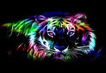 Cool Neon Backgrounds for Desktop.