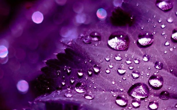 Cool Purple Wallpaper HD.