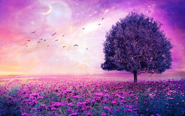 Cool Purple Wallpaper for PC.