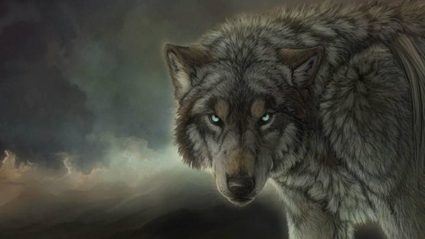 Cool Wolf Background.