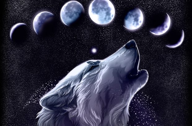 Cool Wolf Computer Wallpaper HD.