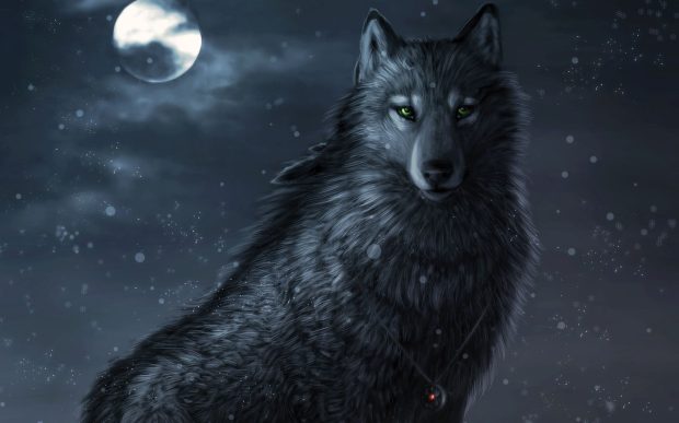Cool Wolf Desktop Background.