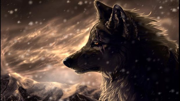 Cool Wolf Wallpaper 1920x1080.