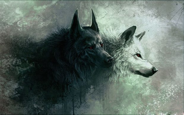 Cool Wolf Wallpaper.