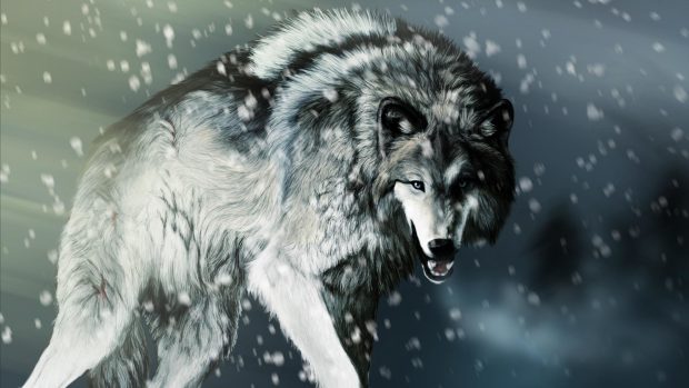 Cool Wolf Wallpaper for Desktop.