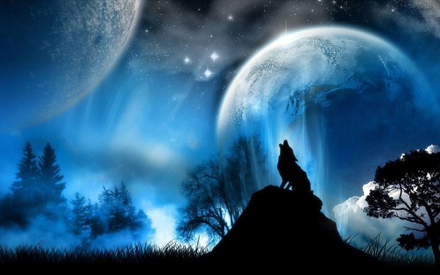 Cool Wolf Wide Screen Wallpaper HD.