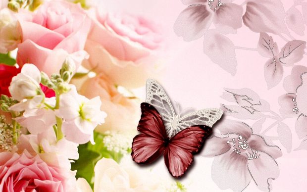 Cute Butterfly Desktop Background.