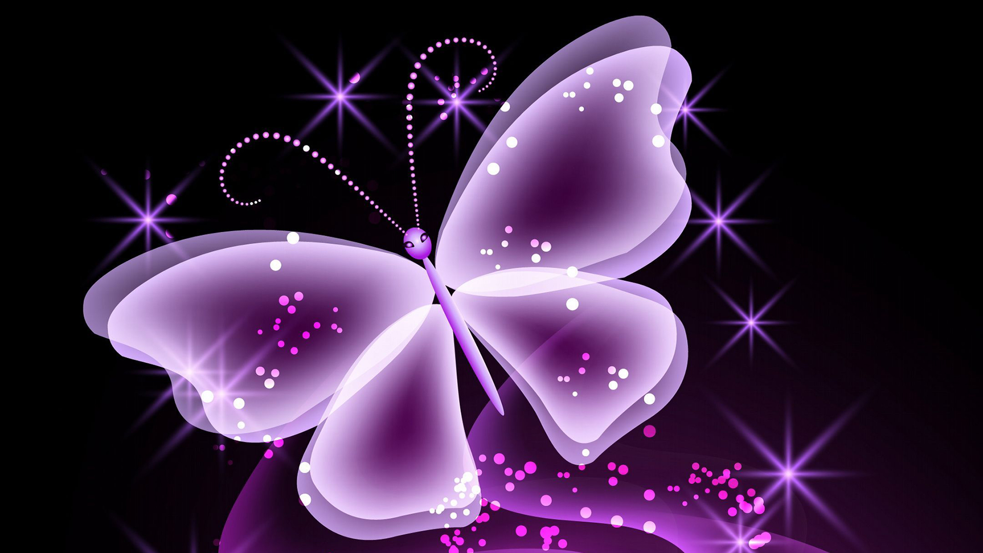 cute butterfly wallpaper