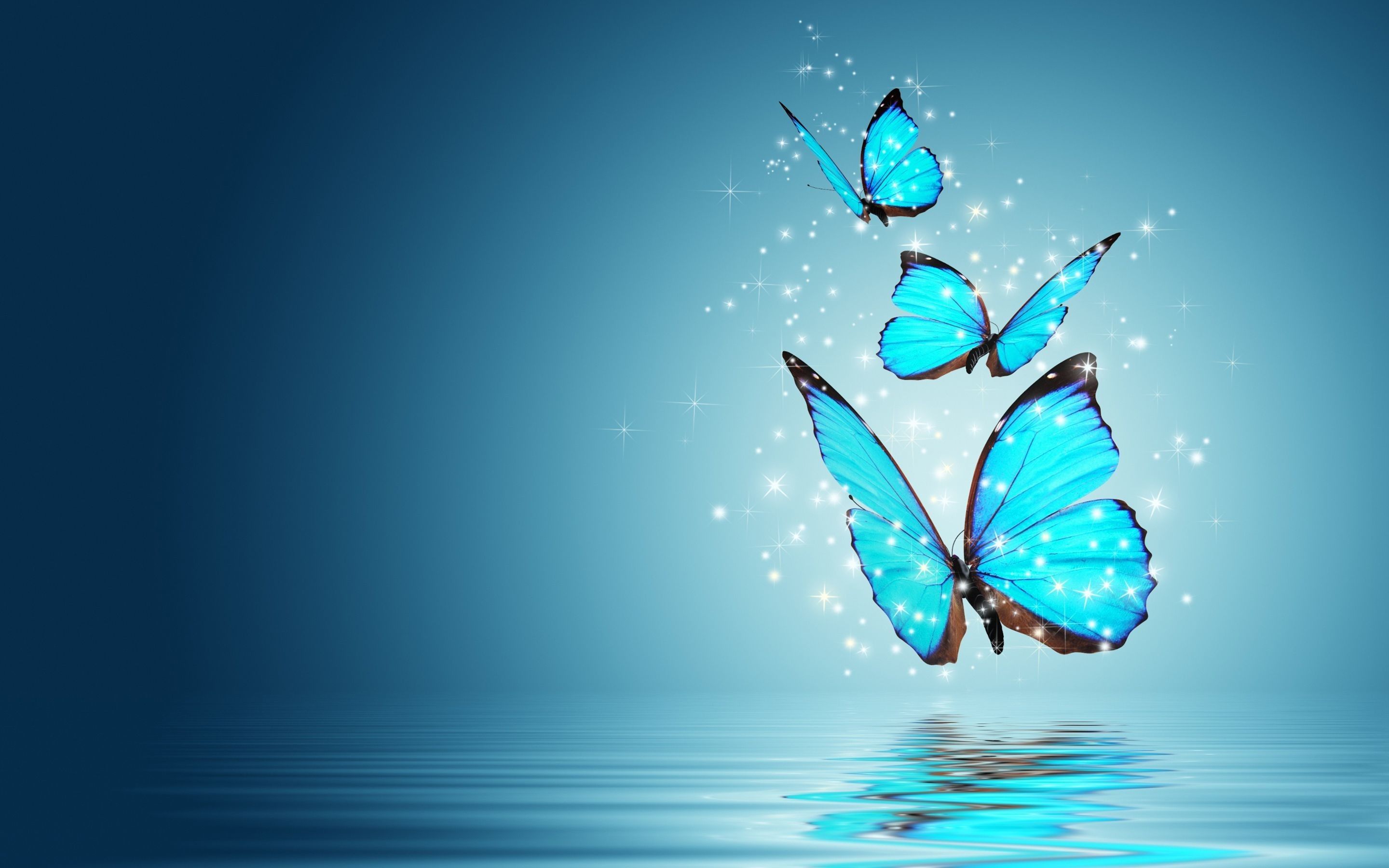 Cute Butterfly Computer Wallpapers 