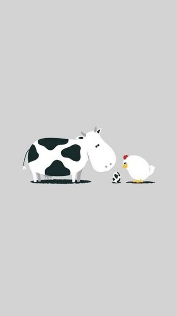 Cute Cow HD Wallpaper iPhone.