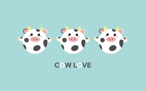 Cute Cow Wallpaper for PC.